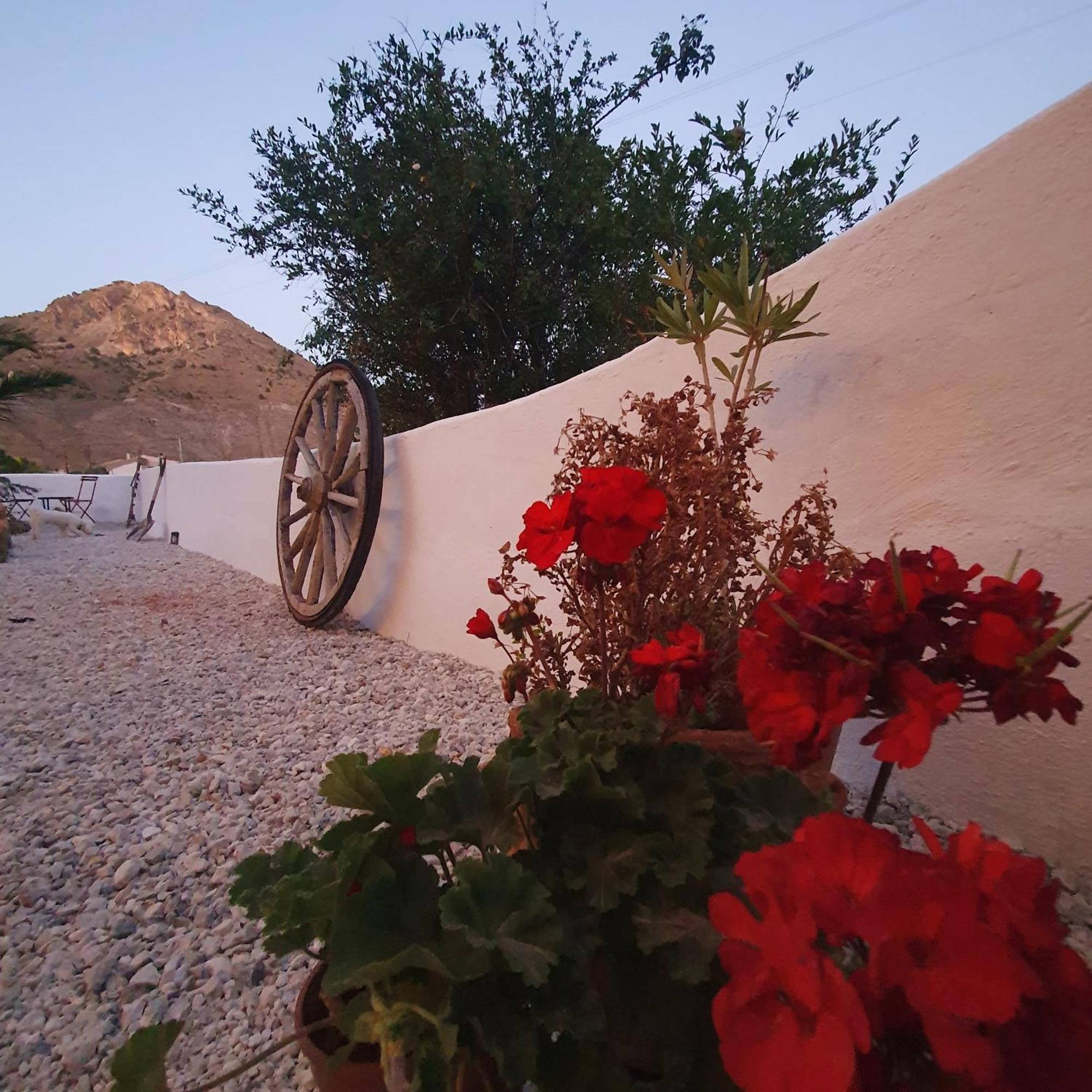 Bed and Breakfast Casa Satori Oria Exterior foto